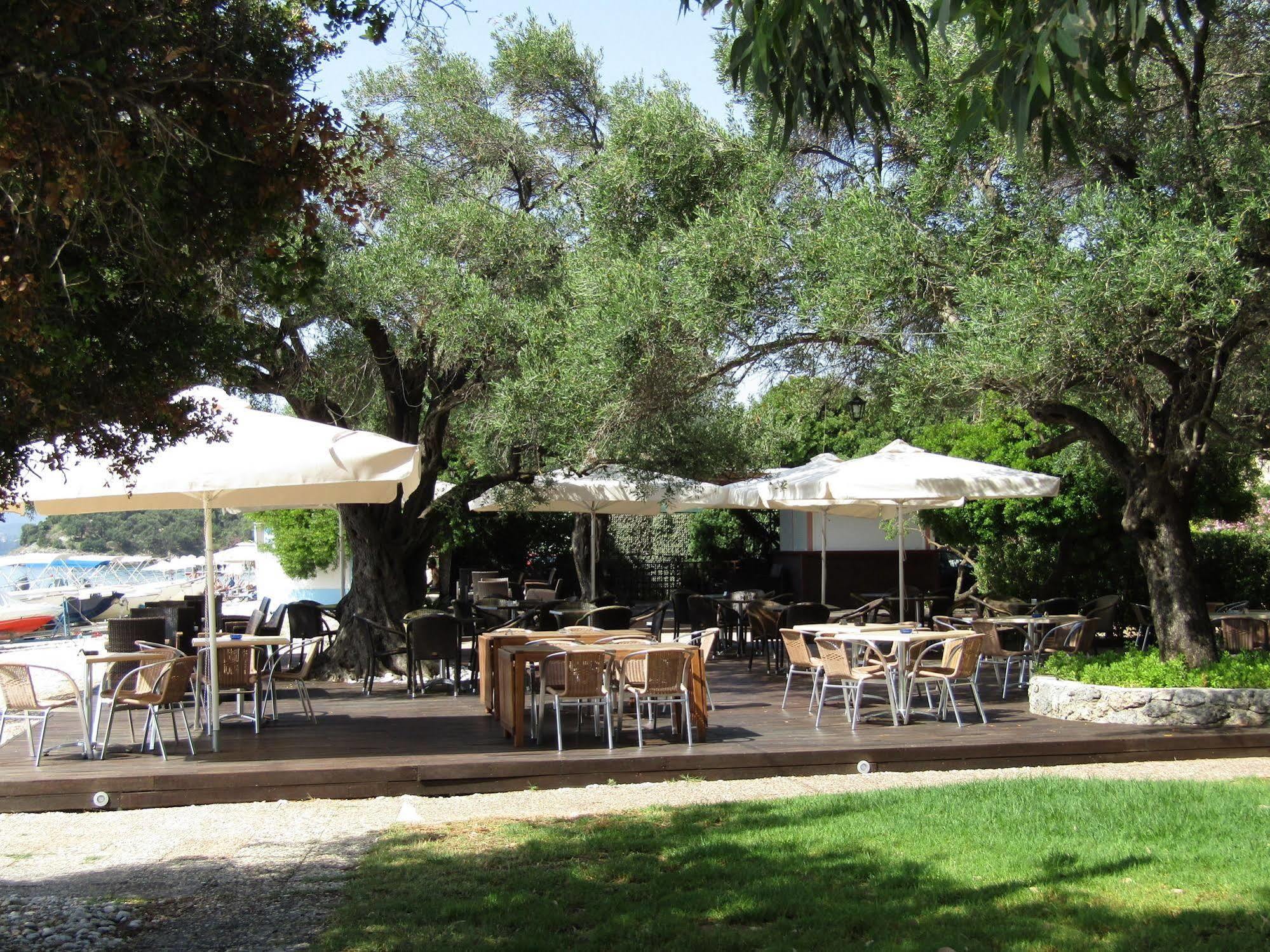 Barbati Beach Holiday Apartment, Corfu,Greece Ngoại thất bức ảnh