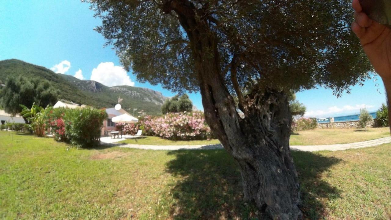 Barbati Beach Holiday Apartment, Corfu,Greece Ngoại thất bức ảnh